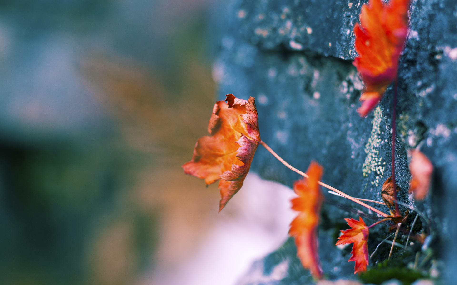 国足场上战术执行层级划分及评分模型，中国足球战术