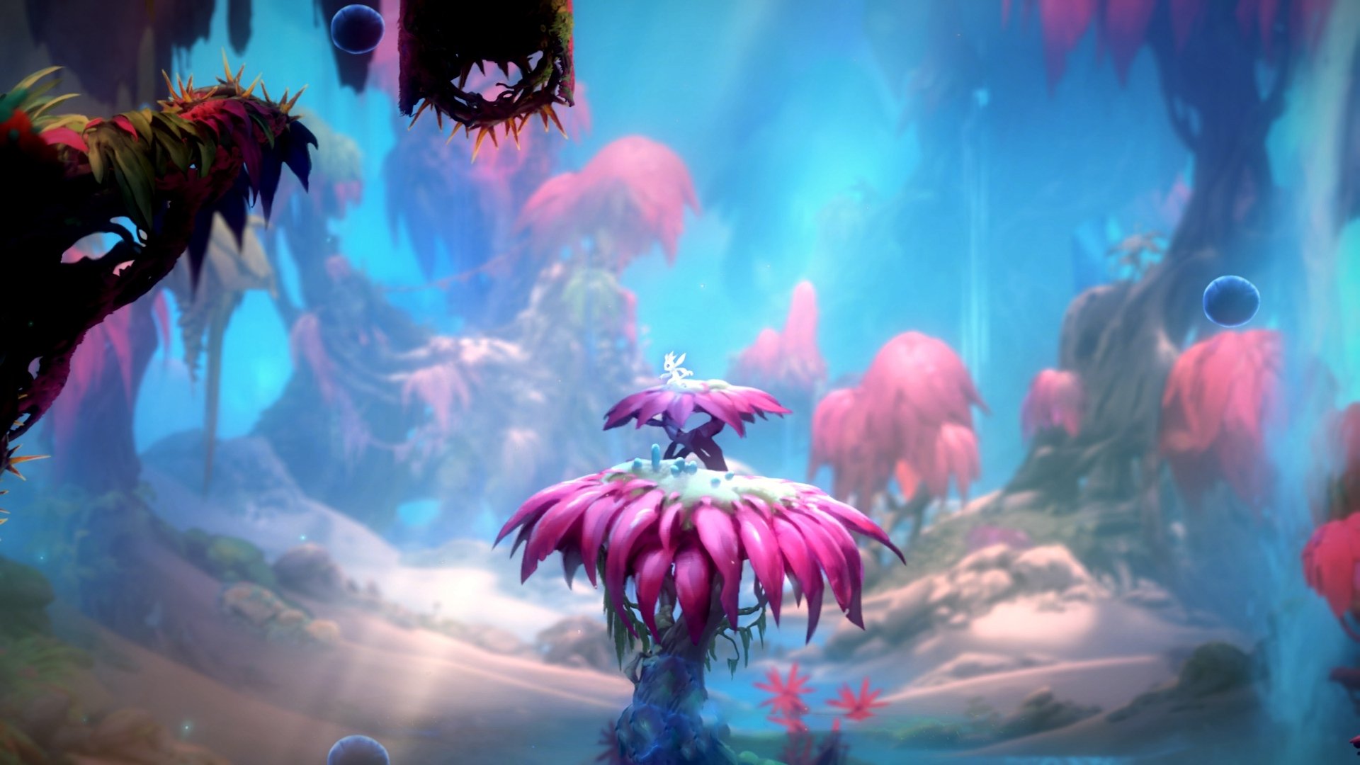 APP下载 LY Sports-中美蝶泳出发至15米分段比拼分析，超美蝶泳