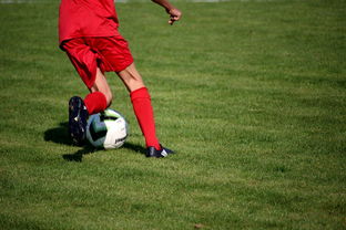 乐鱼体育平台app下载-冬奥场馆智能系统协助运动员热身训练，冬奥会设备