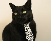 澳大利亚队能否借国际乒联混合团体世界杯获得突破性表现？，国际乒联澳大利亚公开赛