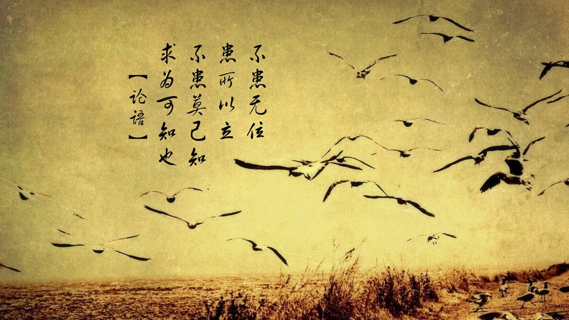 “尼古拉斯·桑特基的防守与进攻兼备，为阿根廷美洲狮队带来致命威胁”