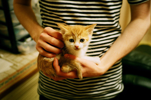 乐鱼vip-刘翔退役后首次公开亮相，刘翔退役后首次公开亮相是哪一年