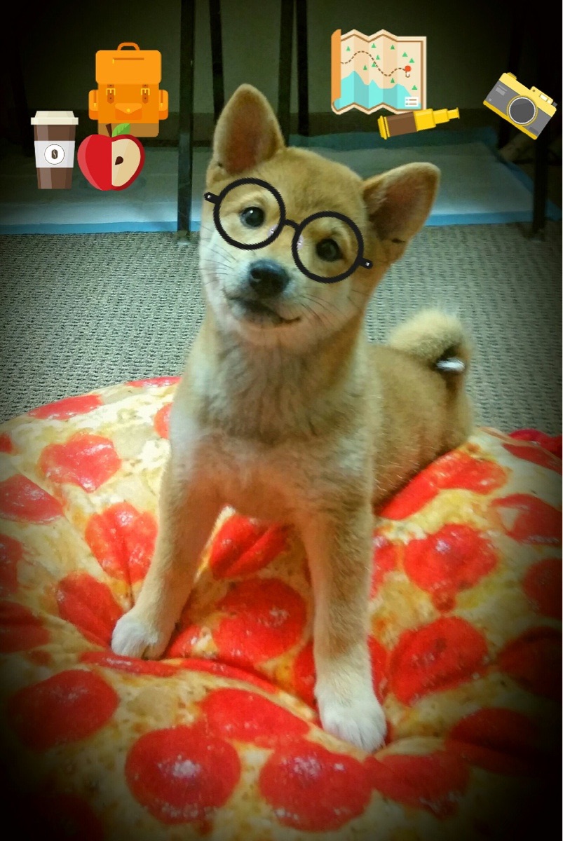 巴尔：全黑队中场的“指挥塔”，组织进攻如行云流水