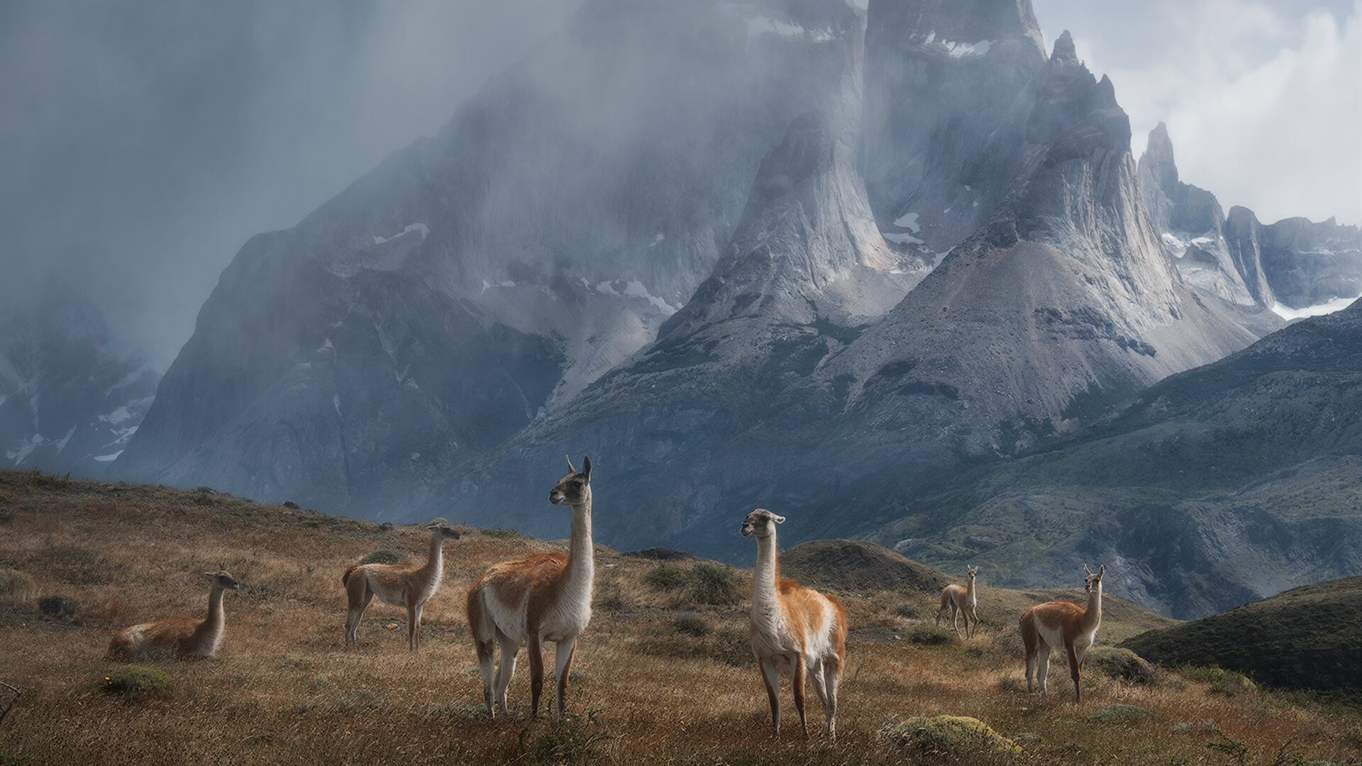 乐鱼电竞在线平台登录入口-西甲年轻中场崛起观察，西甲出场